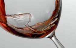 1971 in Langa barolo calice