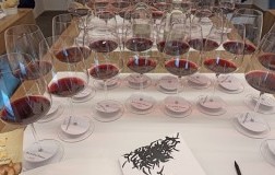 Le Macchiole Bolgheri Rosso verticale bicchieri