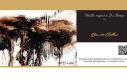 Le Pinot Noir Vielles Vignes champagne Guy de Forez etichetta
