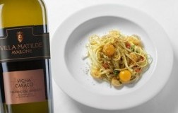 Linguine al limone e Falerno del Massico Bianco Vigna Caracci 2019 Villa Matilde Avallone