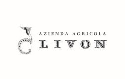 livon cantina vino friuli