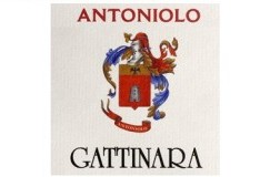 antoniolo cantina vini piemonte gattinara logo