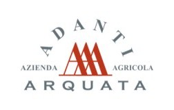 logo adanti