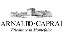 logo arnaldo caprai