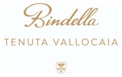 logo bindella cantina vino