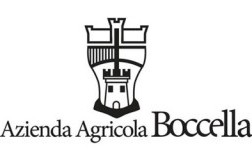 logo boccella