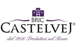 logo bric castelvej cantina vino piemonte