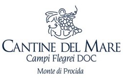 Logo cantine del mare cantina vino campania