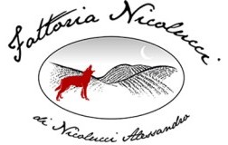 logo fattoria nicolucci