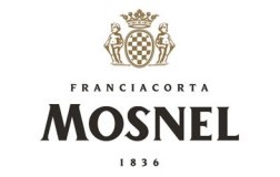 logo mosnel