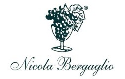 logo nicola bergaglio