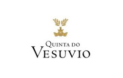 logo quinta do vesuvio