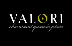 logo valori