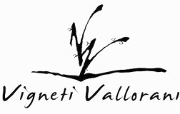 logo vigneti vallorani cantina vino marche