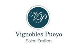 logo vignobles pueyo Chateau Belregard Figeac cantina vino francia