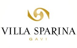 logo villa sparina cantina vino piemonte