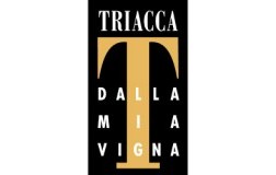 logo triacca