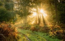 La luce del primo mattino: 