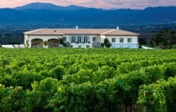 lungarotti torgiano rosso rubersco vigna monticchio riserva cantina vini umbria panorama vigne
