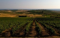 Mandrarossa Menfi Guerra di Mare