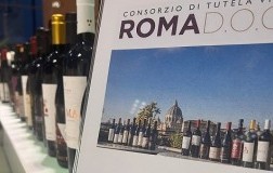 manifestazione Roma Doc...et