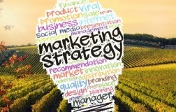 marketing del vino