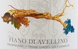 mastroberardino fiano di avellino radici vino bianco campania etichetta doctorwine