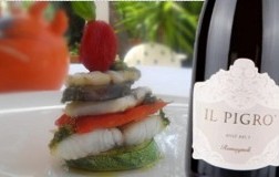 millefoglie di ricciola e Il Pigro Metodo Classico Rosé Cantine Romagnoli Villò
