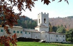 Albereto, an evo oil from the Badia