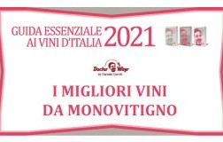 Guida Essenziale 2021 i migliori vini da monovitigno