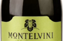 Asolo Prosecco Superiore Il Brutto Sui Lieviti