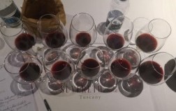 Nascita Consorzio Suvereto Val di Cornia