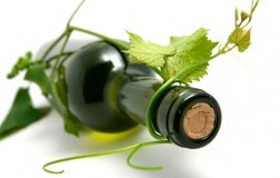il vino naturale non esiste editoriale firmato DoctorWine daniele cernilli