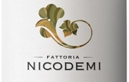 Nicodemi Trebbiano d'Abruzzo Cocciopesto 2018