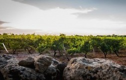 Notte Rossa di San Marzano