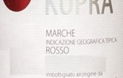 oasi degli angeli kupra vino rosso marche etichetta doctorwine
