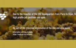 OIV job position