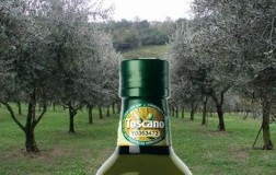 Olio Toscano IGP: +25,1% export