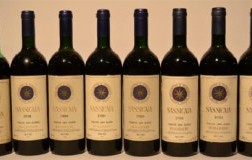 Sassicaia (4), le annate pioneristiche