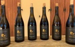 Verticale bottiglie Neromoro Riserva Fattoria Nicodemi