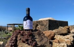 pantelleria, passito della solidarietà
