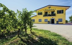 Pilandro Cantina vini marche vigneti