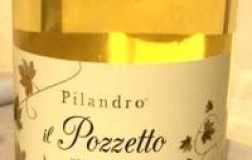 Pilandro Verdicchio dei Castelli di Jesi Classico Pozzetto vino bianco Marche