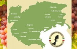 comprensorio pinot grigio dellle venezie doc
