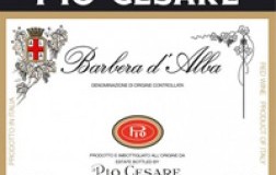 pio cesare barbera d alba etichetta doctorwine
