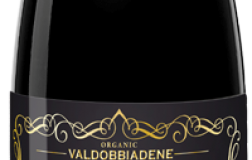 pizzolato conegliano valdobbiadene prosecco superiore Brut Stefany