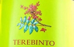 Sicilia Menfi Grillo Terebinto 2020 Planeta