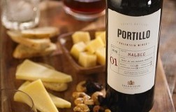 portillo malbec bodegas salentein