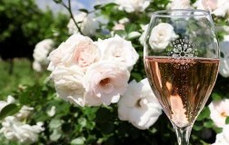 Prosecco Rosé Doc