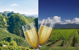prosecco uno e bino